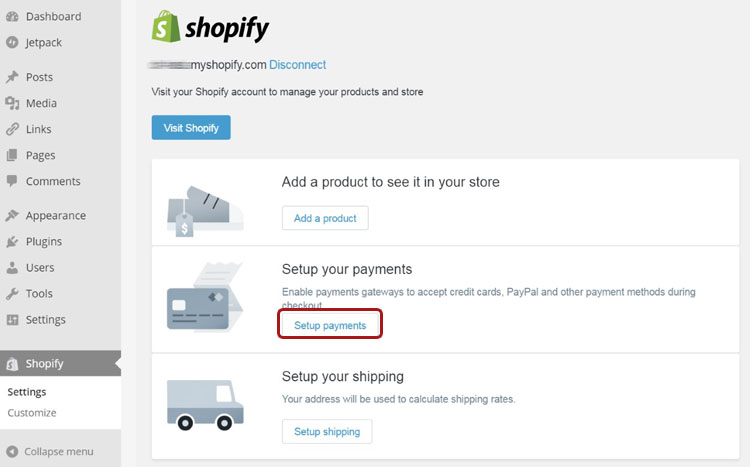 Shopify Setup Payments