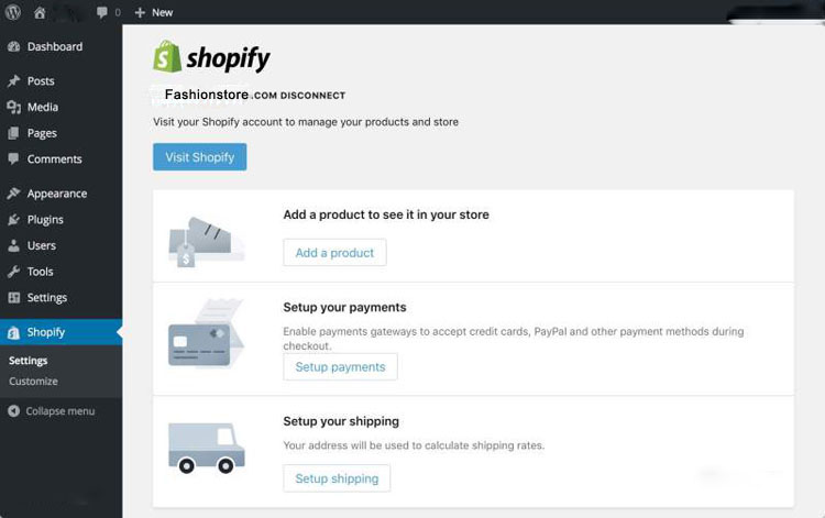 Shopify Store Main page