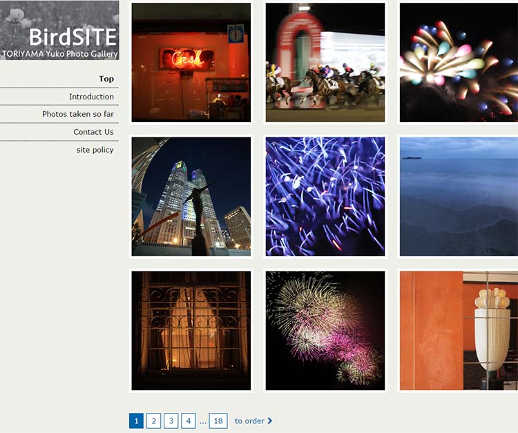 BirdSITE Photography WordPress Themes