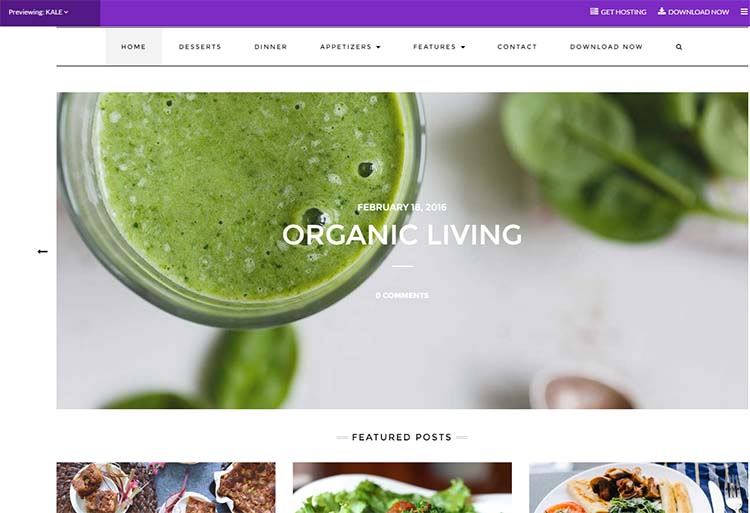 Free Plus Responsive WordPress Themes Kale