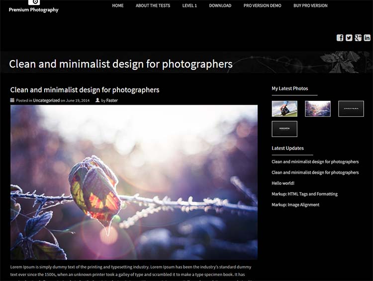 Premium Photography WordPress Themes