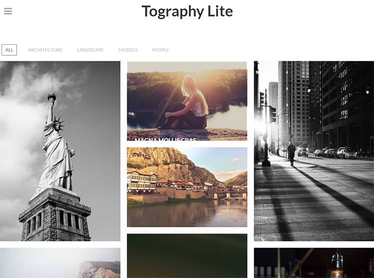 Tography Lite Photography WordPress Themes