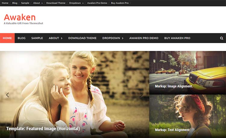 WordPress Themes Awaken
