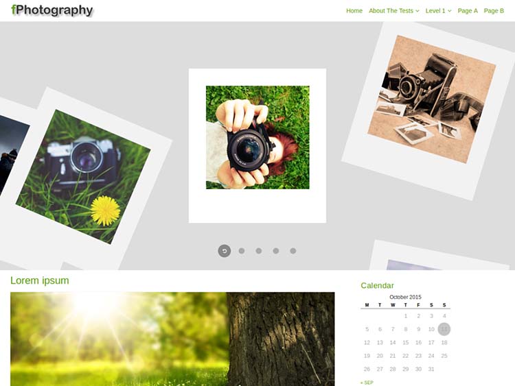 fPhotography WordPress Themes