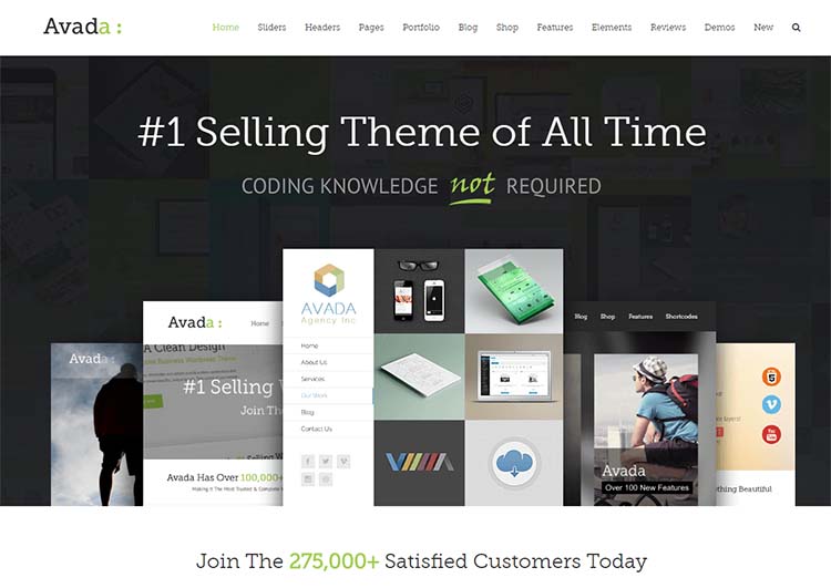 Avada Marketing WordPress Themes