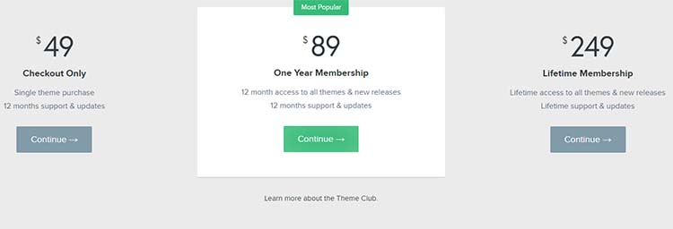 Checkout Marketplace WordPress Themes