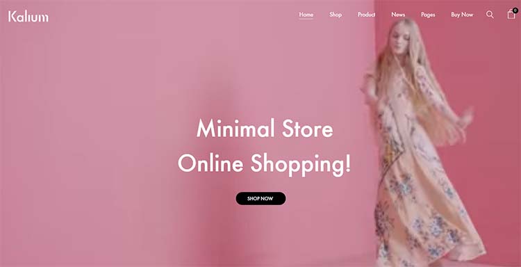 Minimalist WordPress Themes