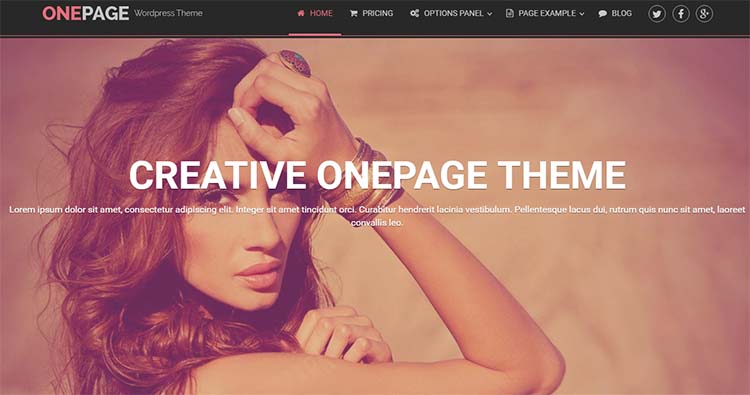 OnePage WordPress Themes