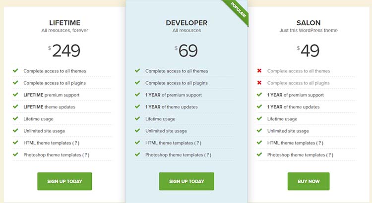 Salon WordPress Themes Price Plan