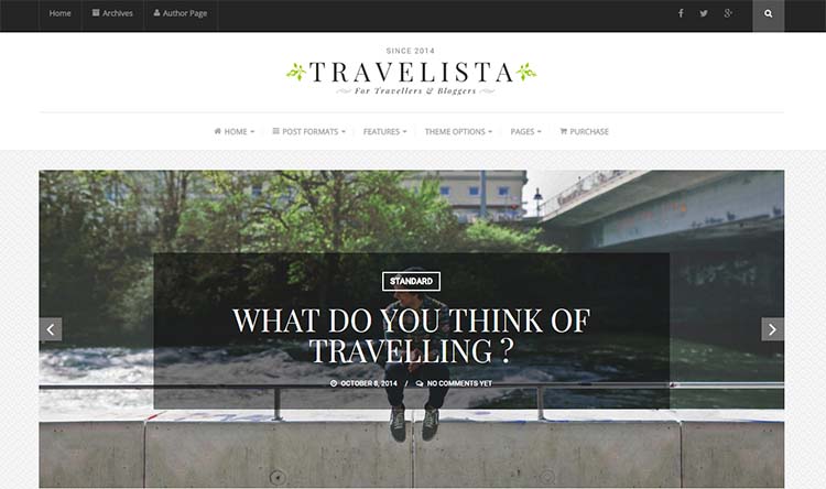 Travel WordPress Themes